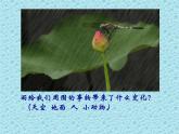 六年級(jí)上冊(cè)美術(shù)課件-第九課 生命的甘露 湘美版 (共22張PPT)
