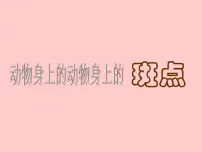 小学浙美版17 动物身上的斑点集体备课课件ppt
