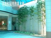 浙美版美术一年级上册 生活中的基本形课件