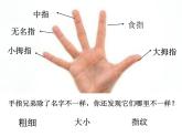 浙美版美术一年级下册 12 手指印画 课件（15张）