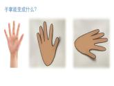 浙美版美术一年级下册 12 手指印画 课件（12张）