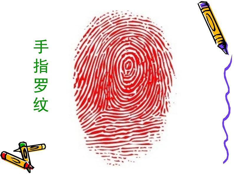 12 手指印画 课件 (2)第3页
