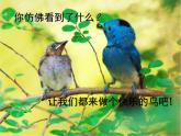 浙美版 二年级上册 13 小鸟的家   课件（29张PPT）