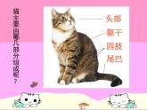 浙美版美术二年级下册 17 可爱的猫咪 课件 (3)