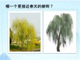浙美版美术二年级下册 1 春天在哪里 课件（10张）