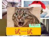 浙美版美术二年级下册 17 可爱的猫咪 课件 教案