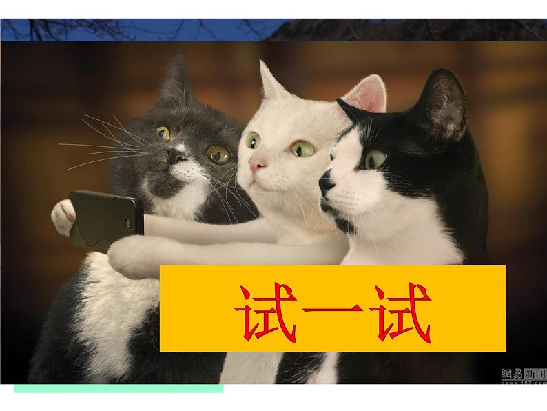 17 可爱的猫咪 课件 (1)第7页