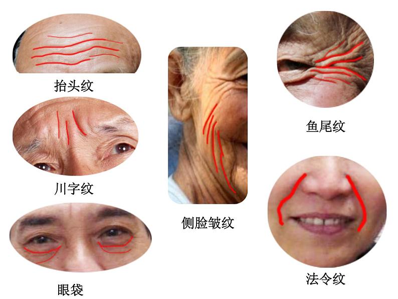 浙美版美术三年级下册 7 爷爷奶奶 课件 教案03