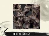 浙美版美术三年级下册 16 奇石 课件 教案 (2)