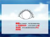 浙美版美术三年级下册 9 眼睛的创想 课件 (4)