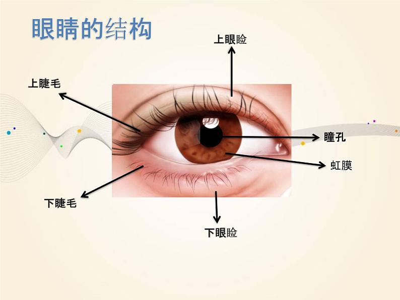 浙美版美术三年级下册 9 眼睛的创想 课件 (4)06