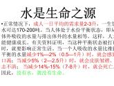 浙美版美术四年级上册 1水资源 课件
