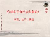 浙美版美术四年级下册 12 亭子 课件 教案 (4)