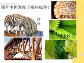 浙美版美术四年级下册 14 线条的魅力 课件 (4)