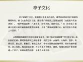 浙美版美术四年级下册 12 亭子 课件 (1)