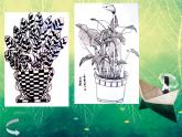 浙美版美术四年级下册 7 生长的植物 课件 教案 (3)