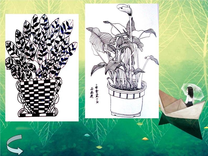 浙美版美术四年级下册 7 生长的植物 课件 教案 (3)04