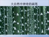 浙美版美术四年级下册 14 线条的魅力 课件