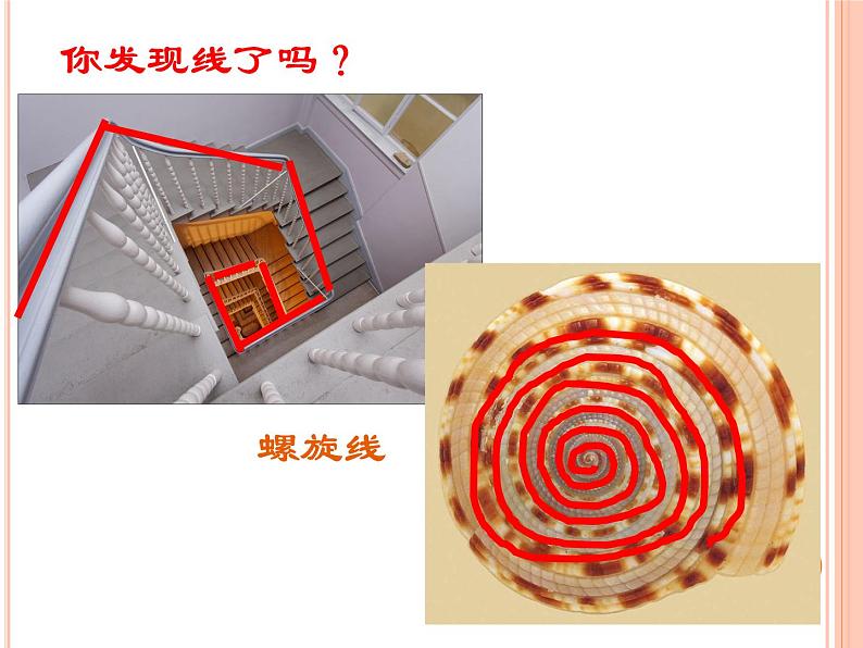 14 线条的魅力 课件 (2)第5页