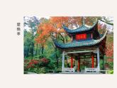 浙美版美术四年级下册 12 亭子 课件