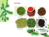 浙美版美术四年级下册 1 茶香四溢 课件