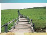 浙美版美术五年级下册 9 弯弯的小路 课件 教案 (2)