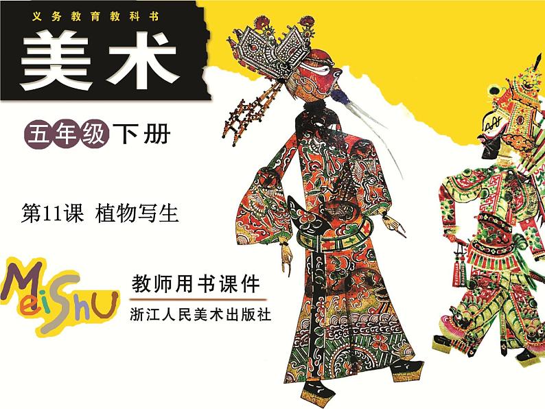 第11课 植物写生第1页