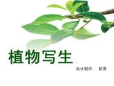 五年级下册 第11课 植物写生课件