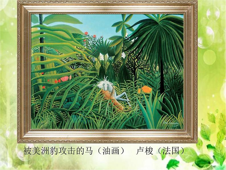 11 植物写生 课件 (1)第5页