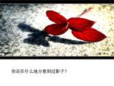 浙美版美术五年级下册 10 光与影 课件 教案 (2)