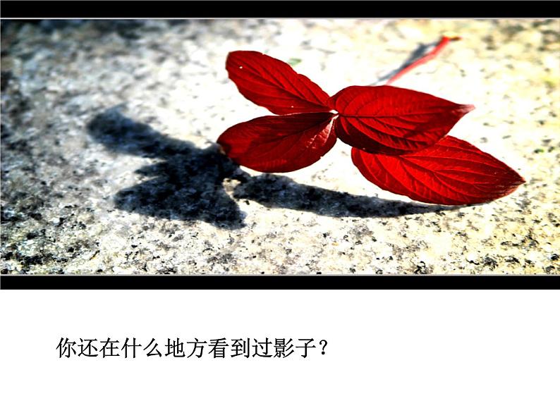 浙美版美术五年级下册 10 光与影 课件 教案 (2)02