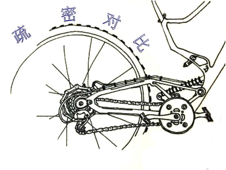 13 自行车写生 课件第6页