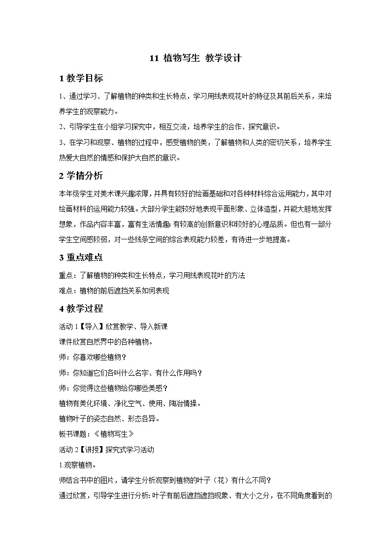 浙美版美术五年级下册 11 植物写生 教学设计  (4)01