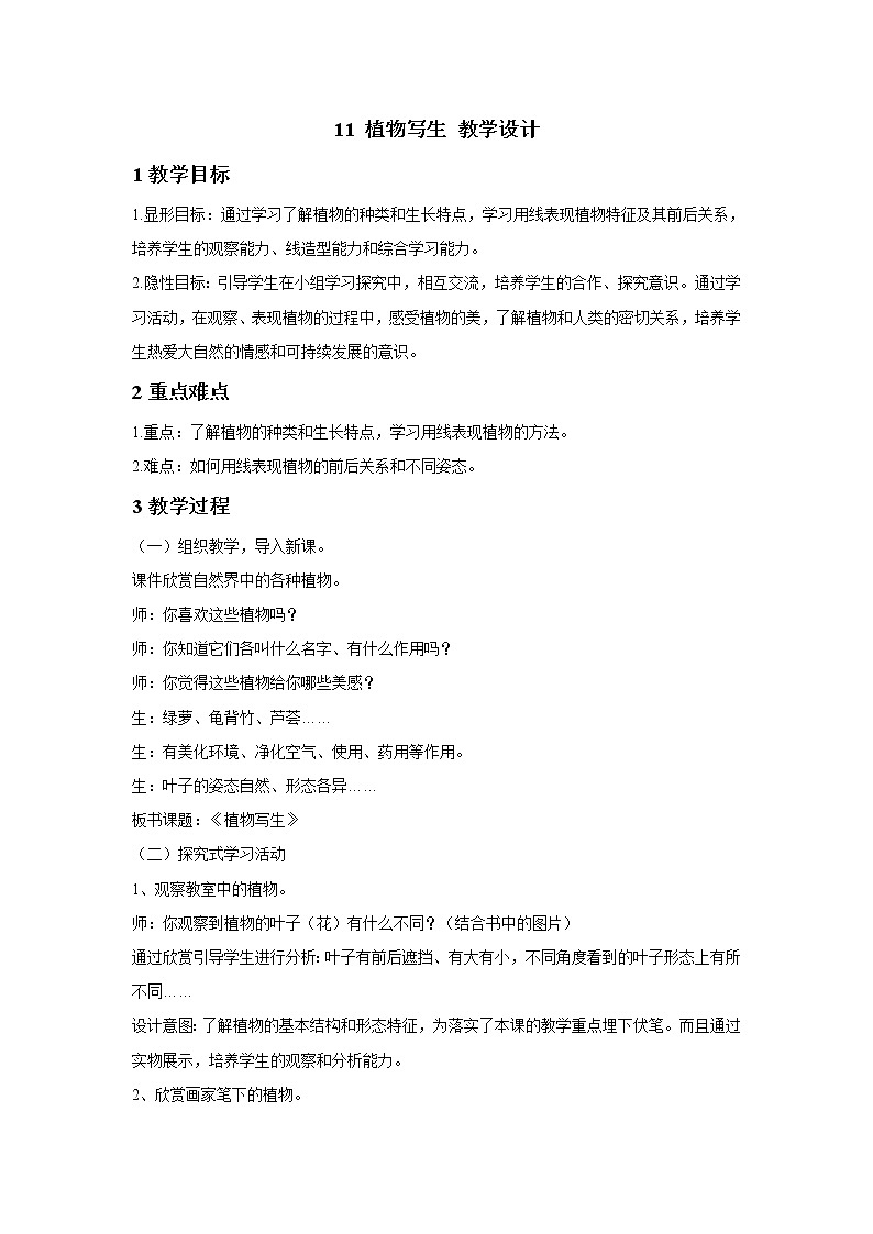 浙美版美术五年级下册 11 植物写生 教学设计第1页