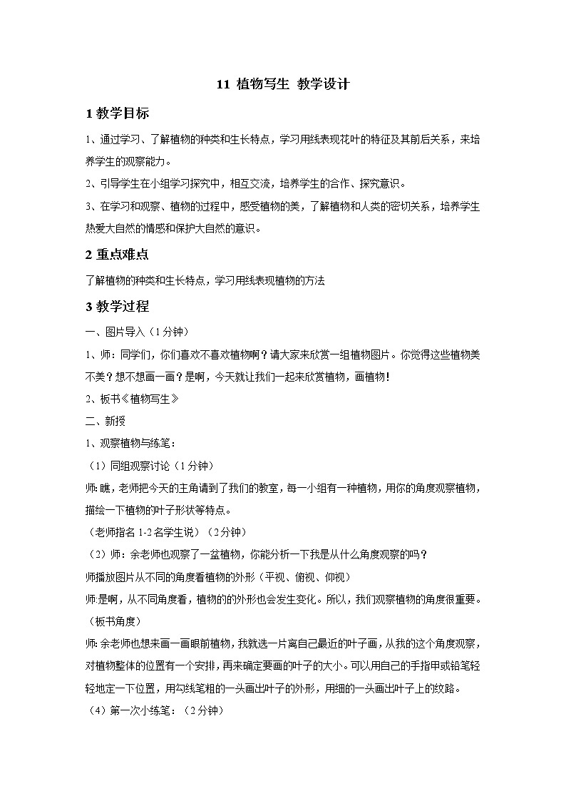 浙美版美术五年级下册 11 植物写生 教学设计  (3)第1页