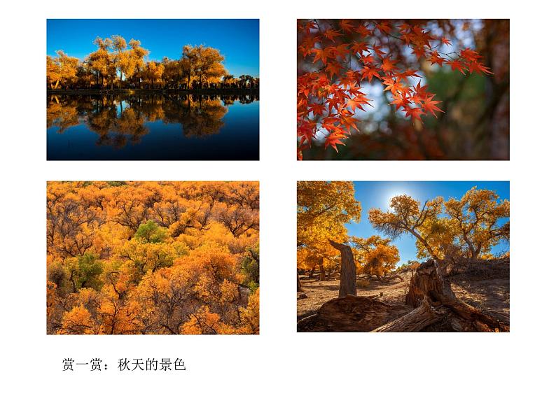 第6课  秋之韵第3页