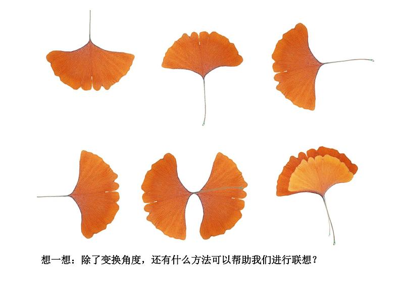 第6课  秋之韵第8页