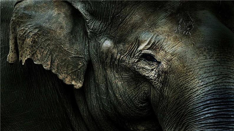 岭南版美术一年级上册 2.壮观的大世界 课件 教案02