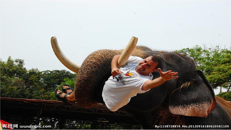 岭南版美术一年级上册 2.壮观的大世界 课件 教案03