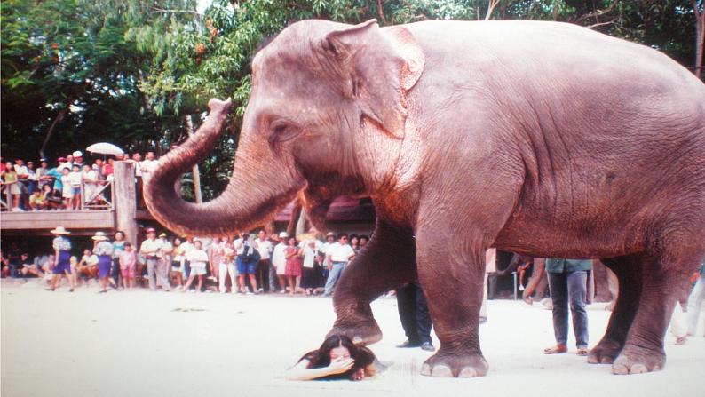 岭南版美术一年级上册 2.壮观的大世界 课件 教案04