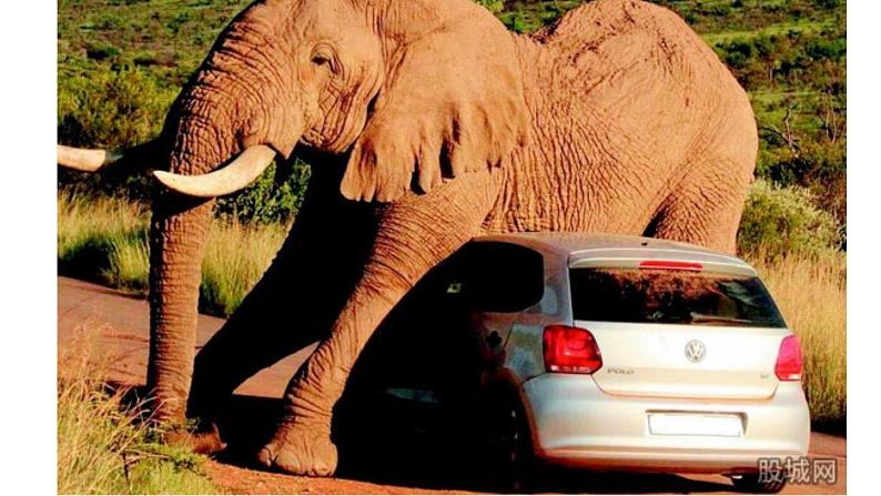 岭南版美术一年级上册 2.壮观的大世界 课件 教案05