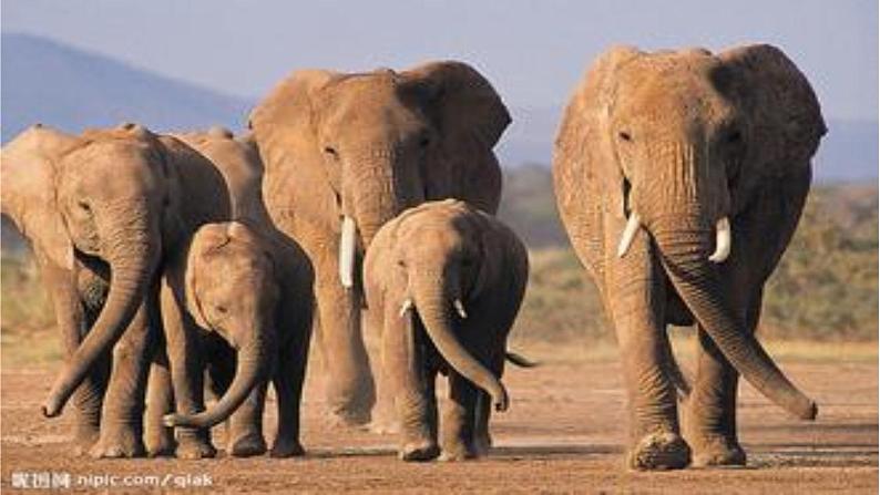 岭南版美术一年级上册 2.壮观的大世界 课件 教案08