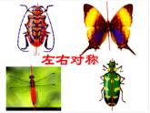 岭南版美术一年级上册 10. 可爱的小虫 课件 （16张 PPT）