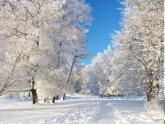 嶺南版美術(shù)一年級(jí)上冊(cè) 雪孩子  課件 教案 素材