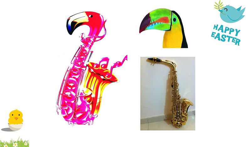 5.快乐的小鸟 课件 (1)第4页