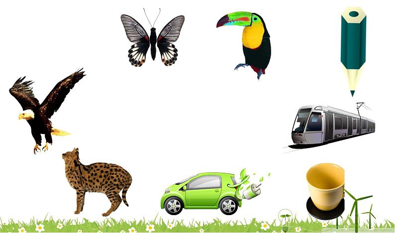 5.快乐的小鸟 课件 (1)第5页