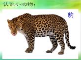 嶺南版美術(shù)一年級(jí)下冊(cè) 《動(dòng)物的“花衣裳”》課件