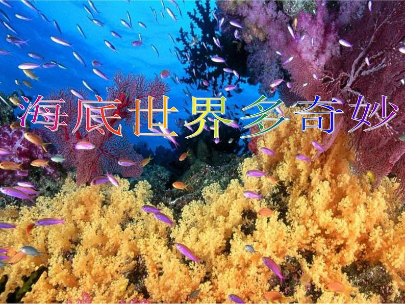 岭南版美术一年级下册 2.海底世界多奇妙 课件 教案(1)01