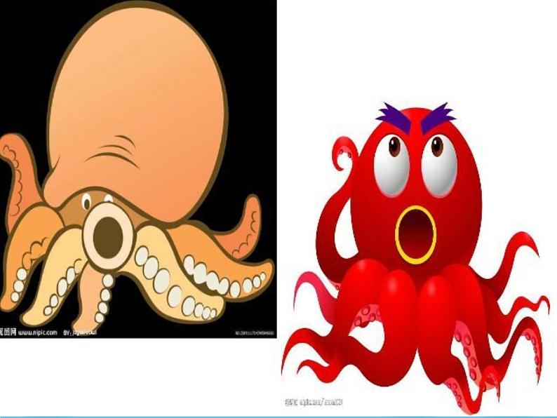 2.海底世界多奇妙 课件 (4)第7页