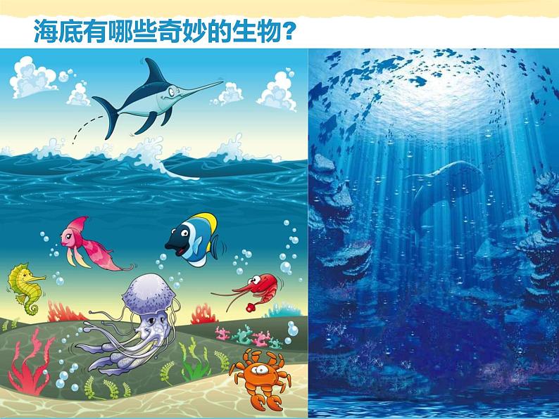 2.海底世界多奇妙 课件 (4)第8页